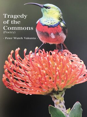 cover image of Tragedy of the Commons